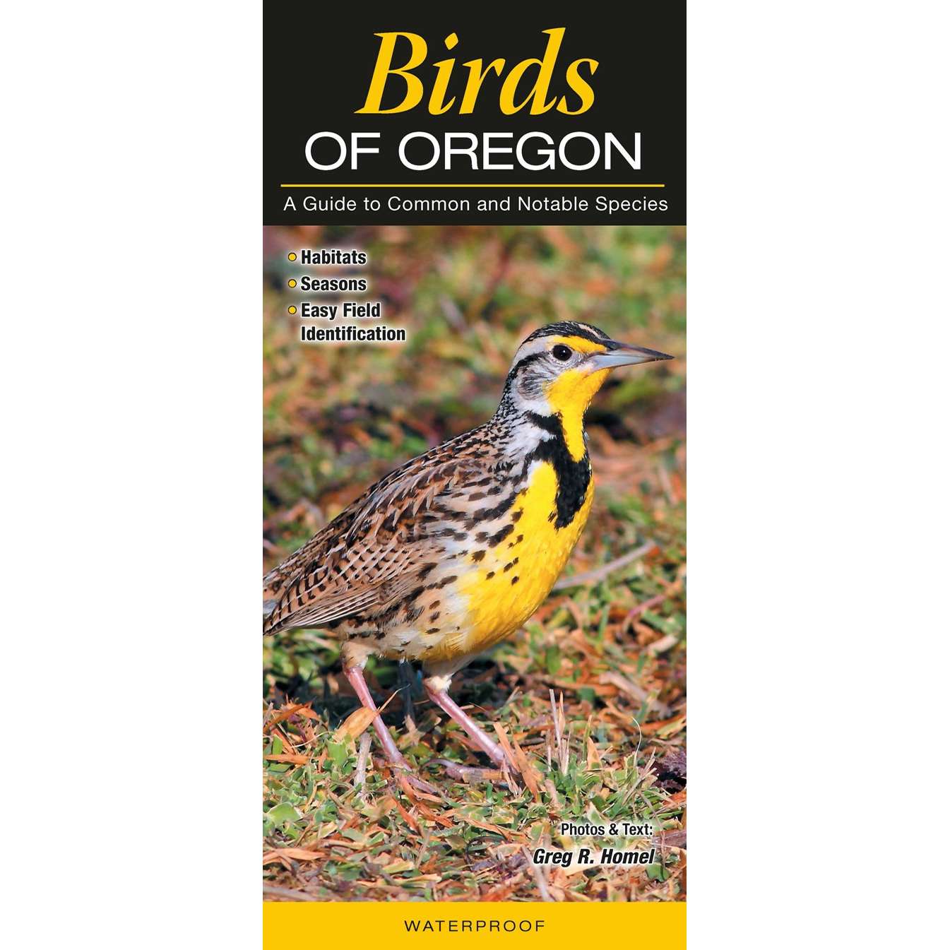 Paradise Clay QRP005 Birds of Oregon - Folding Pocket Guide
