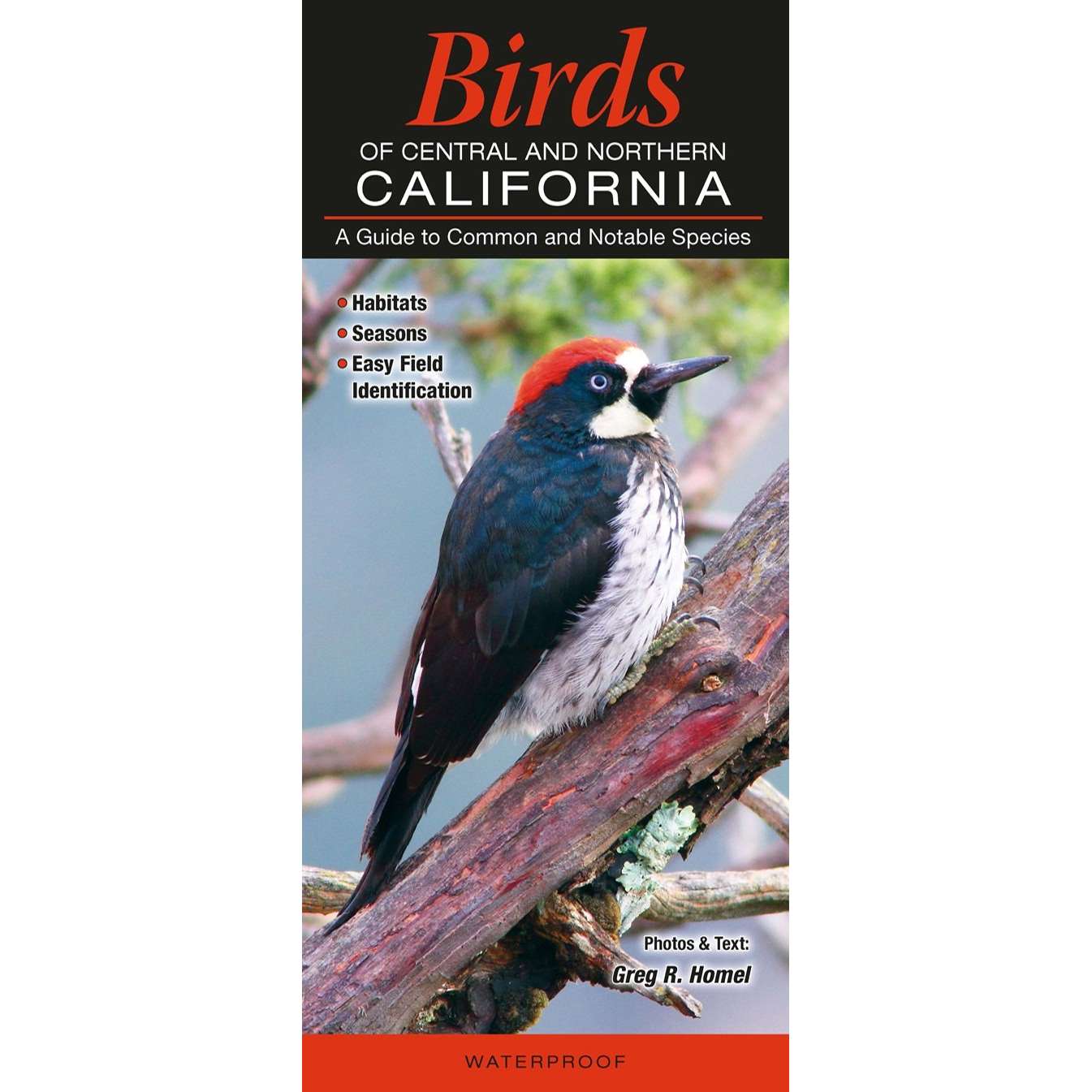 Paradise Clay QRP007 Birds of Central & Northern California - Folding Pocket Guide