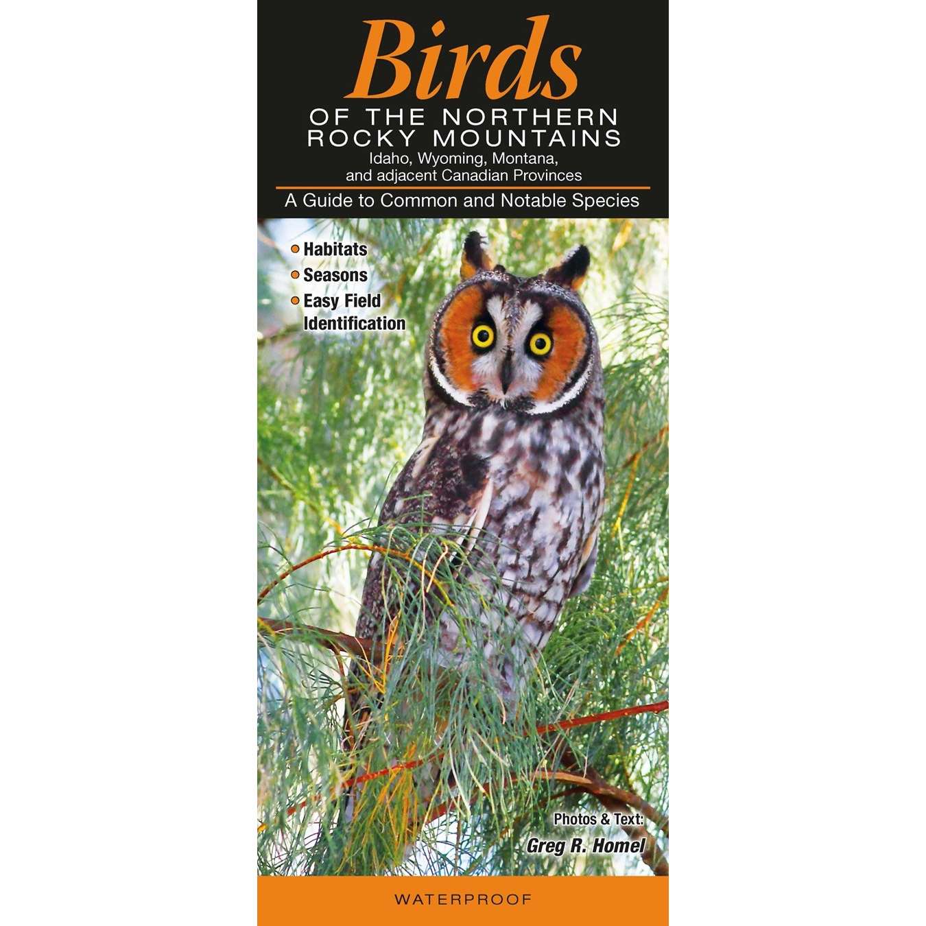 Paradise Clay QRP009 Birds of the Northern Rocky Mountains - Folding Pocket Guide