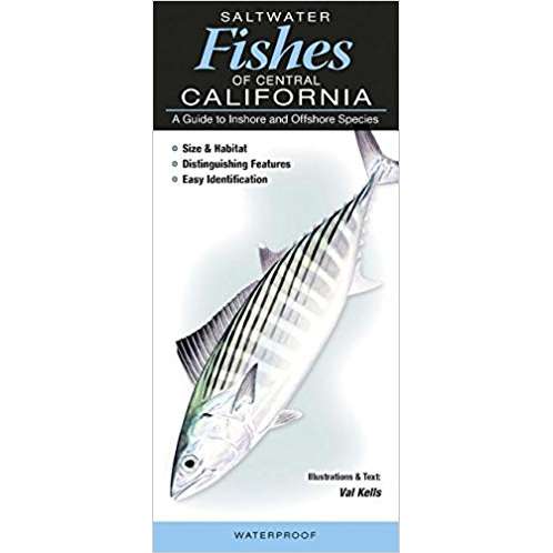 Paradise Clay QRP019 Saltwater Fishes of Southern California : A Guide to Inshore and Offshore Species - Folding Pocket Guide