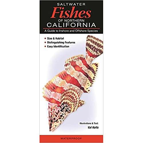 Paradise Clay QRP020 Saltwater Fishes of Northern California : A Guide to Inshore and Offshore Species - Folding Pocket Guide
