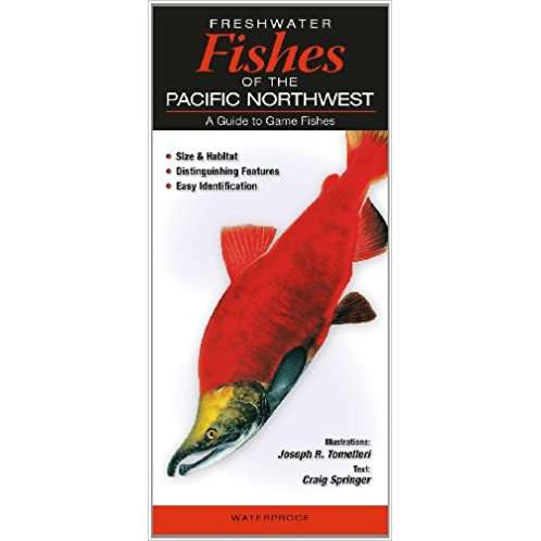 Paradise Clay QRP023 Freshwater Fishes of the Pacific Northwest - Folding Pocket Guide