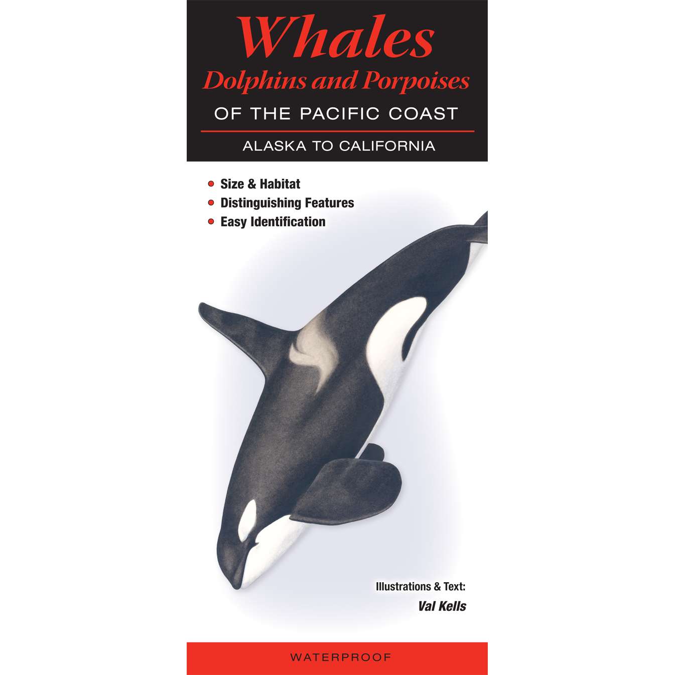 Paradise Clay QRP024 Whales, Dolphins and Porpoises of the Pacific Coast: Alaska to California - Folding Pocket Guide