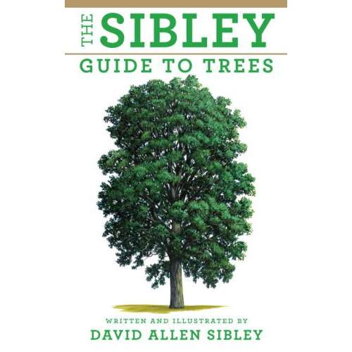 Paradise Clay RAN437 The Sibley Guide to Trees - Book