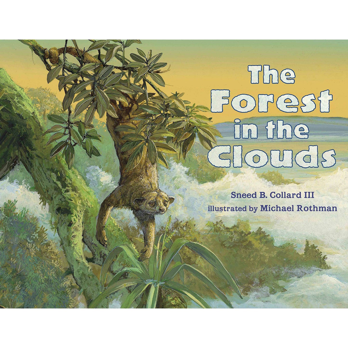 Paradise Clay RAN522 The Forest in the Clouds - Book
