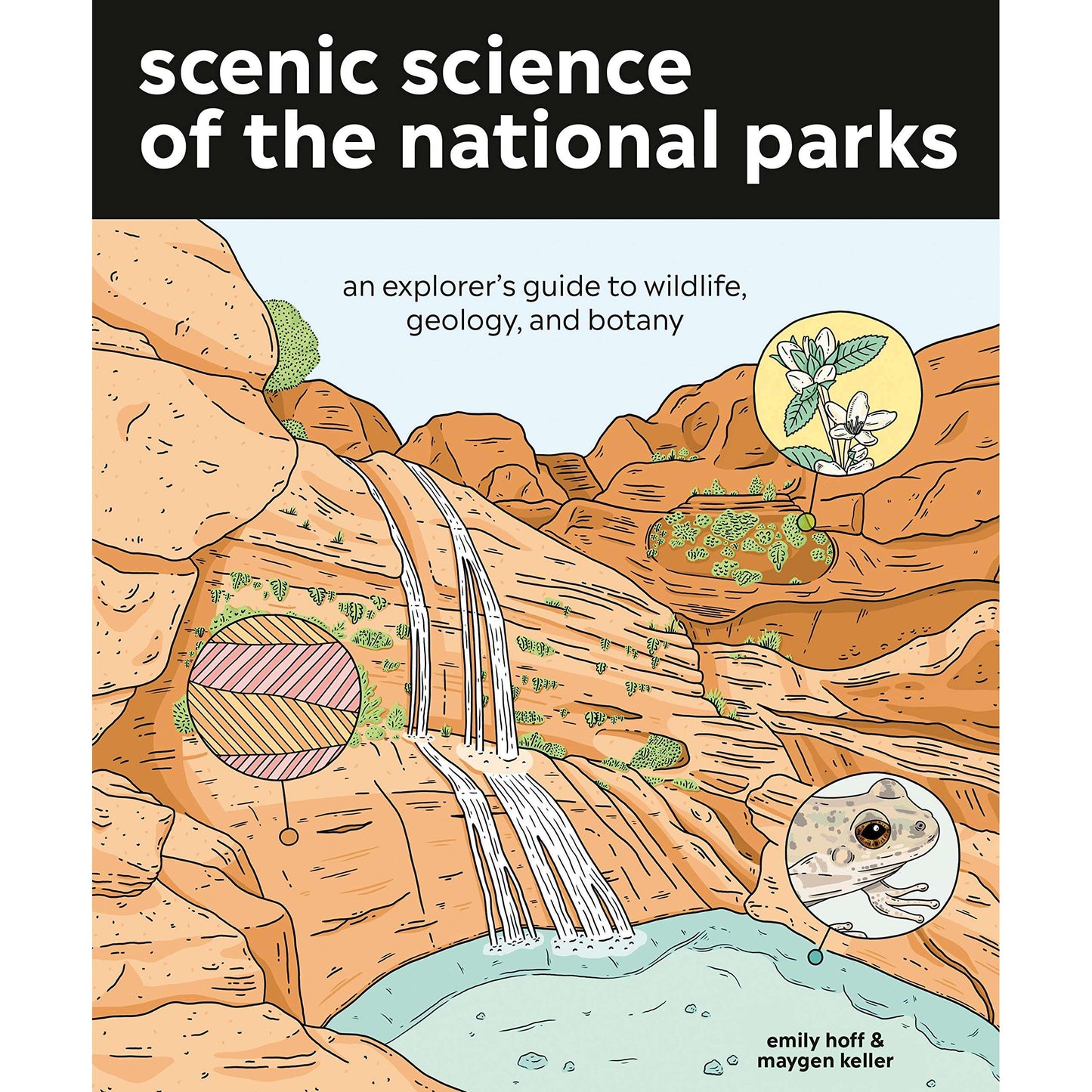Paradise Clay RAN547 Scenic Science of the National Parks: An Explorer's Guide to Wildlife, Geology and Botany - Book