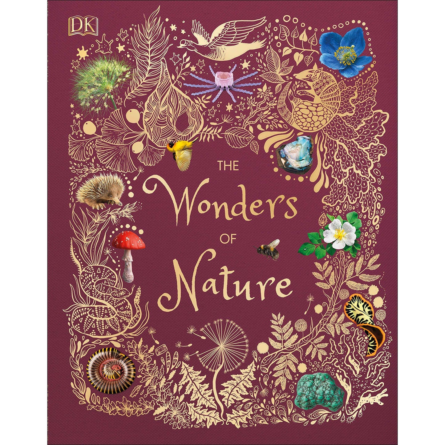 Paradise Clay RAN647 The Wonders of Nature - Book