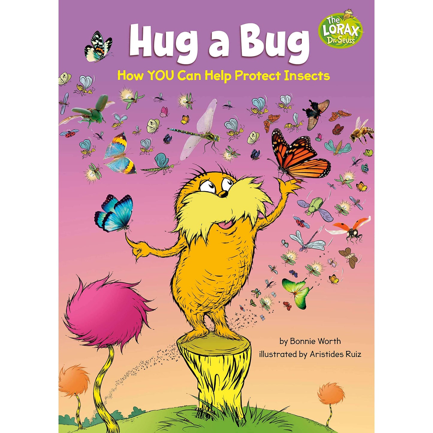 Paradise Clay RAN654 Hug a Bug: How YOU Can Help Protect Insects - Book