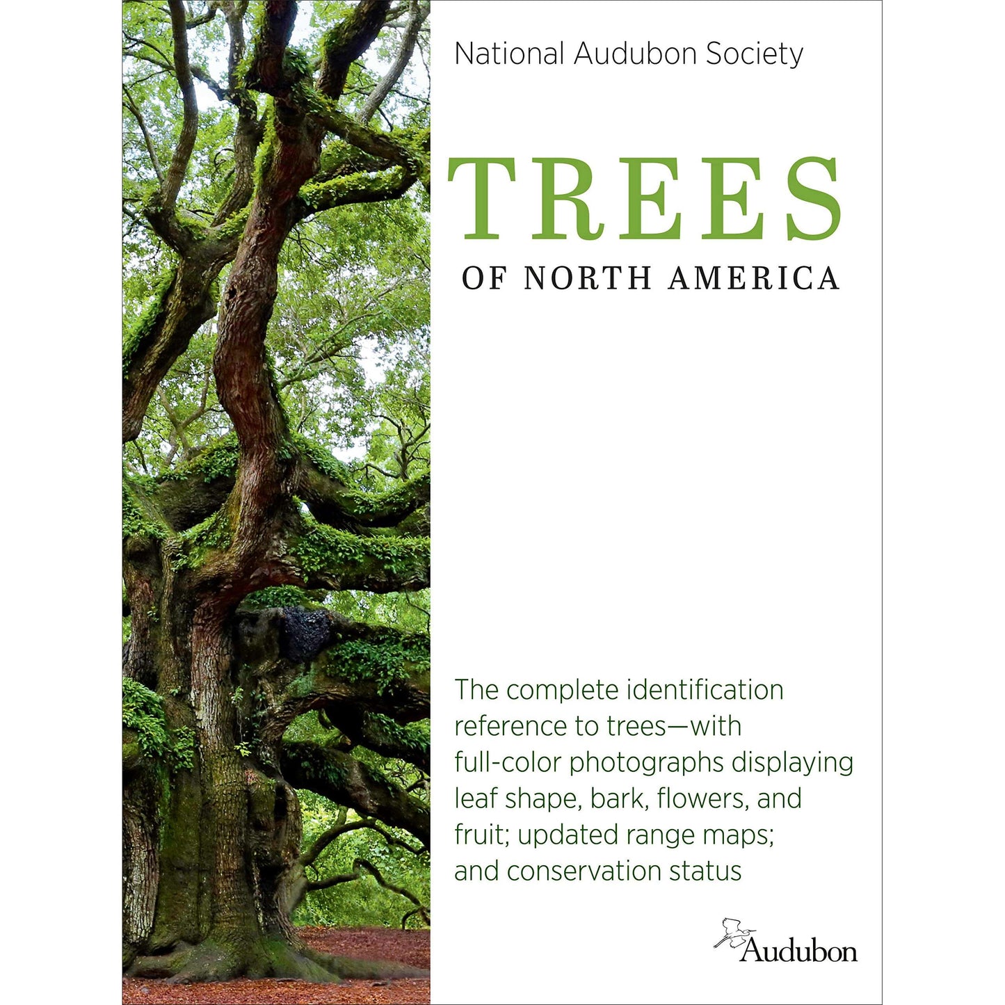 Paradise Clay RAN660 National Audubon Society Trees of North America - Book