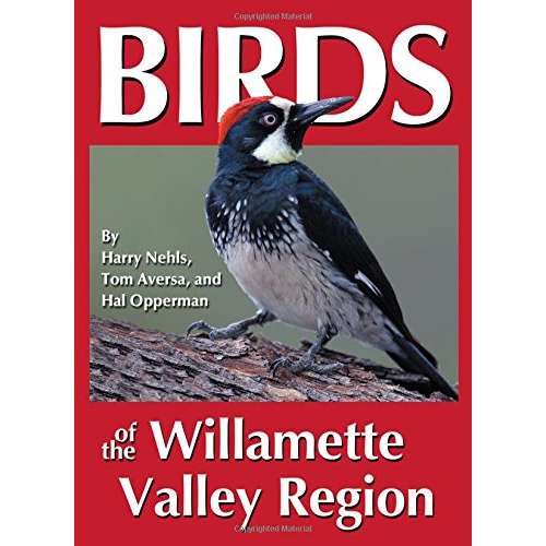 Paradise Clay RWM002 Birds of the Willamette Valley Region - Book