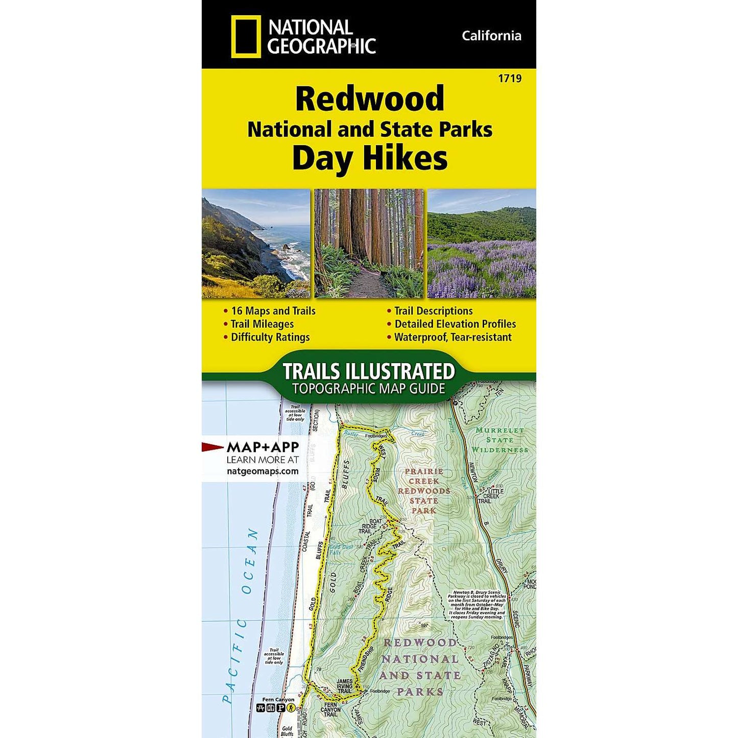 Paradise Clay NGM055 Redwood National and State Parks Day Hikes Map (National Geographic Map)