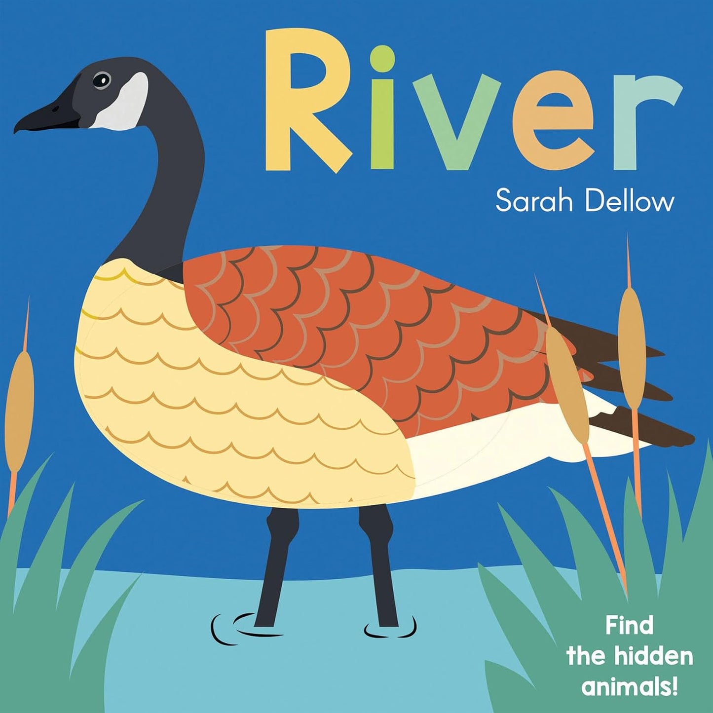 Paradise Clay CPB027 River - Now You See It! - Board Book