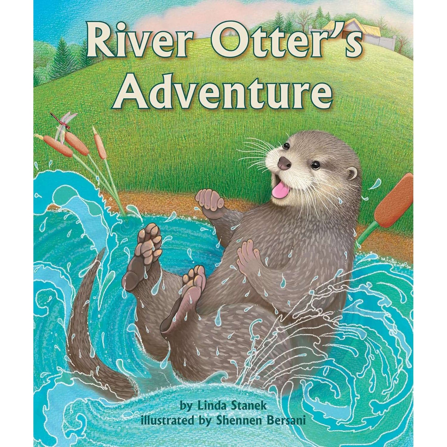 Paradise Clay ARB012 River Otter's Adventure - Book