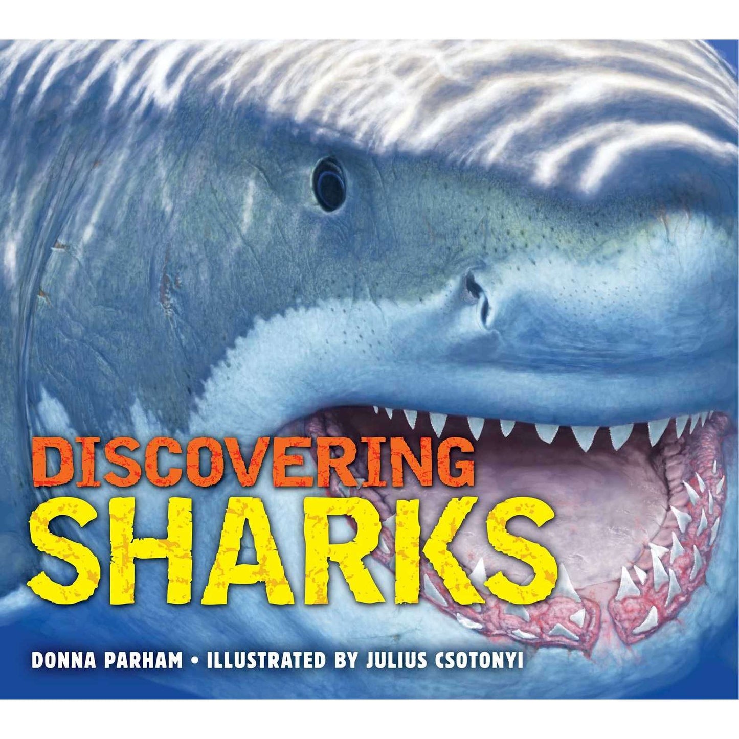 Paradise Clay SIM272 Discovering Sharks - Book