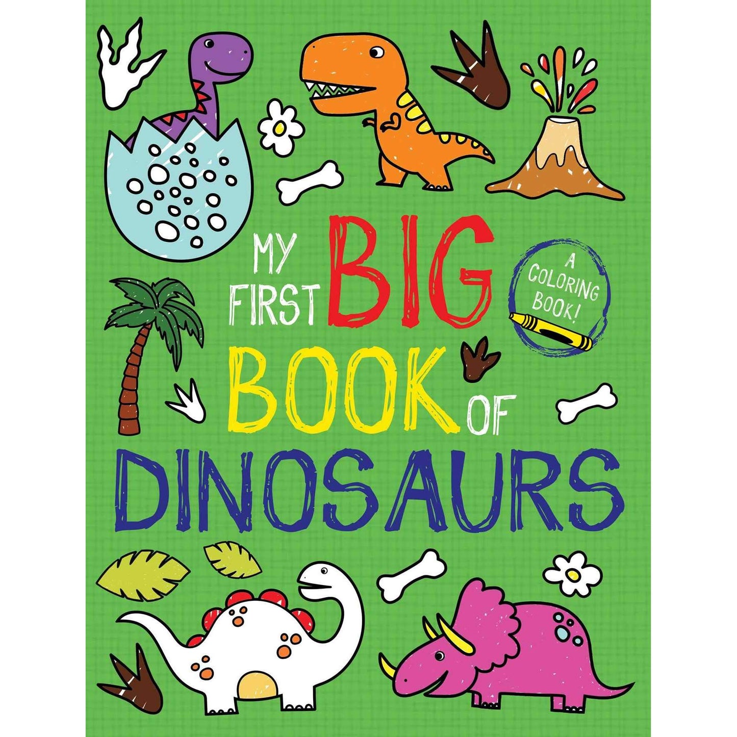 Paradise Clay SIM429 My First Big Book of Dinosaurs - Book