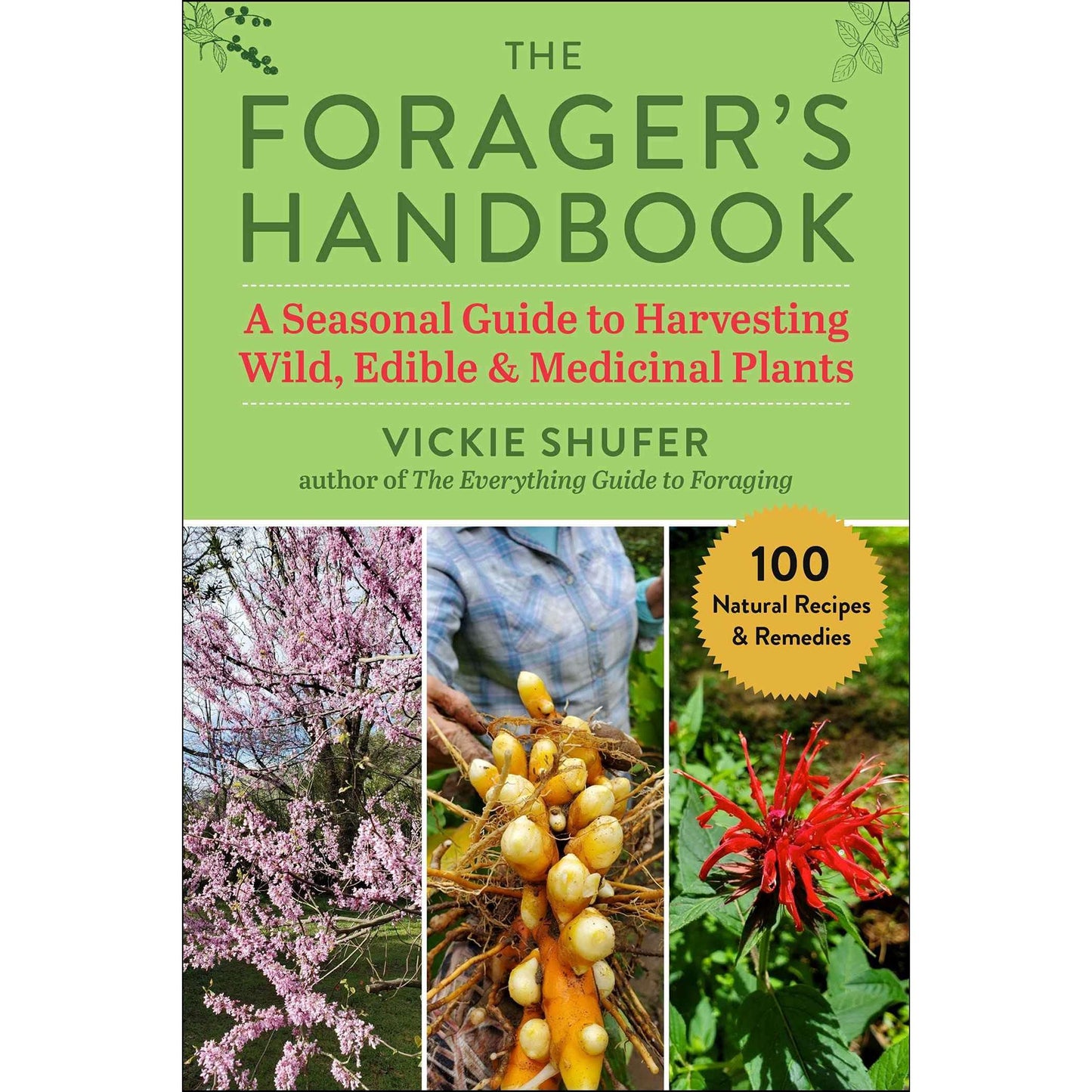 Paradise Clay SKY169 The Forager's Handbook: A Seasonal Guide to Harvesting Wild, Edible & Medicinal Plants - Book