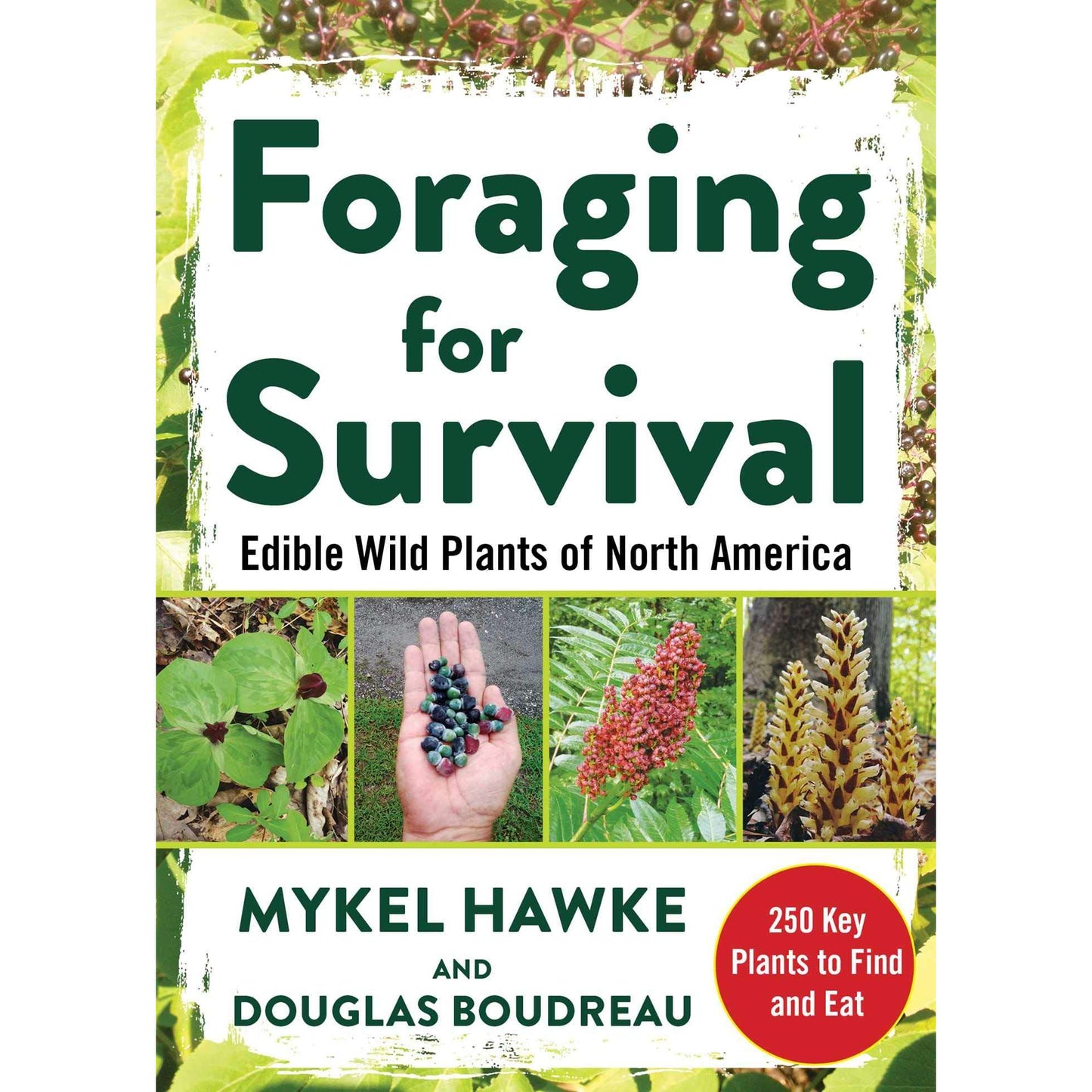 Paradise Clay SKY170 Foraging for Survival: Edible Wild Plants of North America - Book