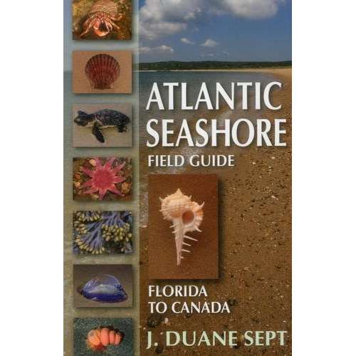Paradise Clay SPB034 Atlantic Seashore Field Guide: Florida to Canada - Book