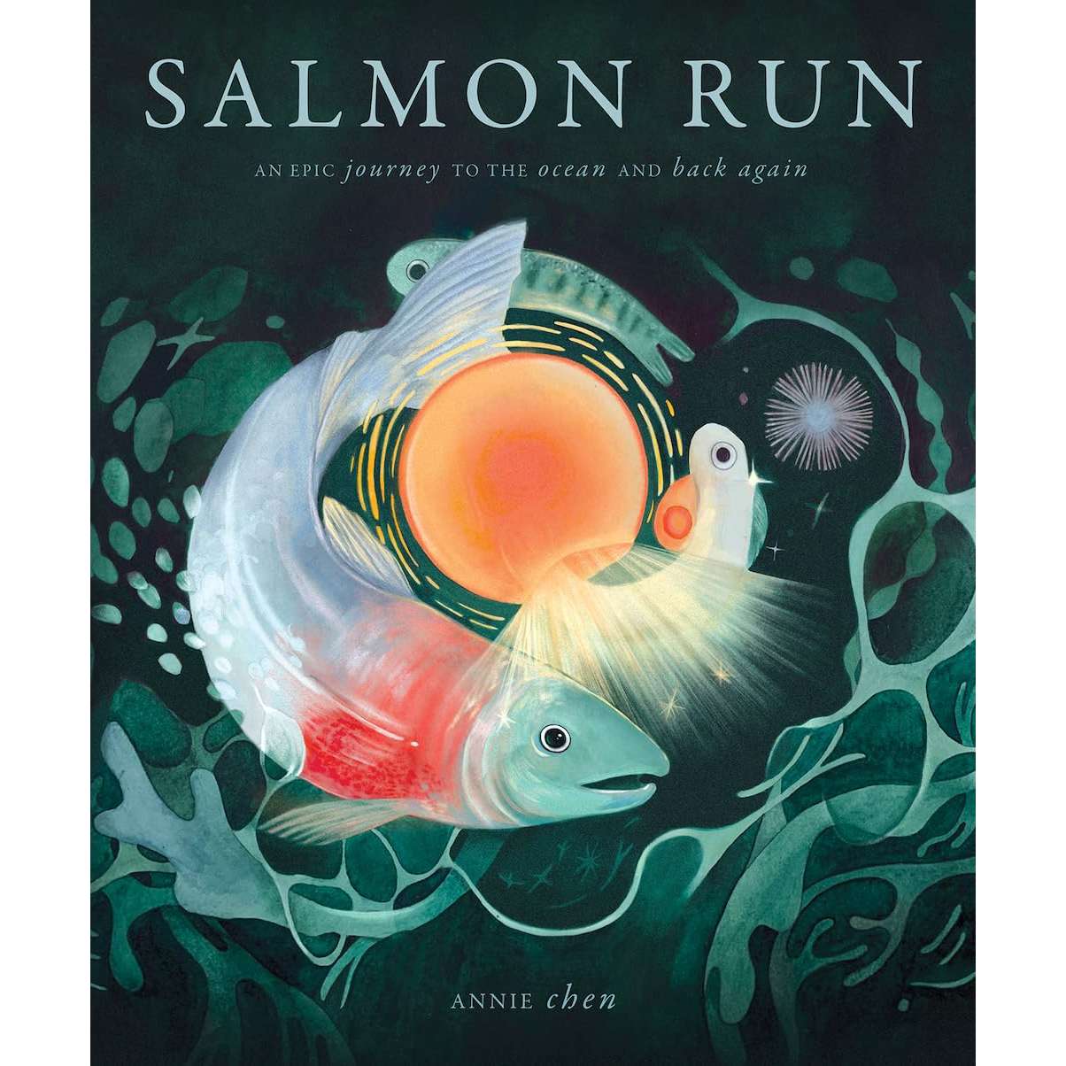 Paradise Clay HNA088 Salmon Run: An epic journey to the ocean and back - Book