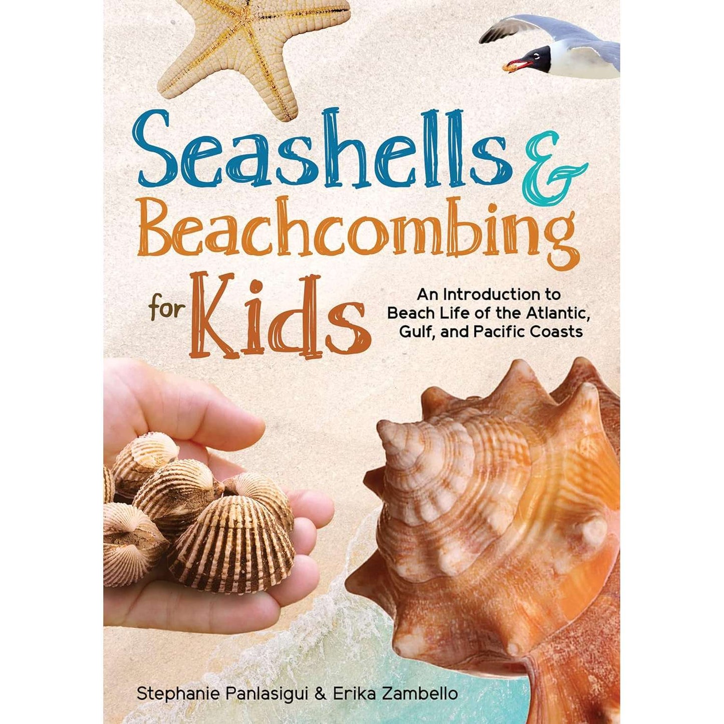 Paradise Clay AVK141 Seashells & Beachcombing for Kids - Book