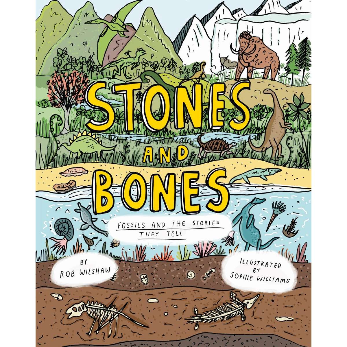 Paradise Clay WWN864 Stones and Bones: Fossils and the stories they tell - Book