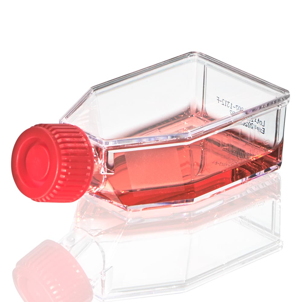 Globe Scientific TC-FLSK-25-P Diamond SureGro Cell Culture Flask Tissue Culture Treated 25cm2 Plug Cap Sterile 10/Bag 200/Case