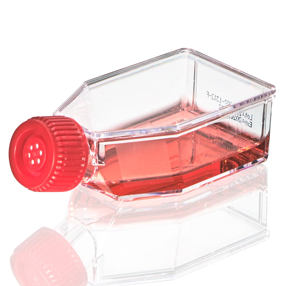 Globe Scientific TC-FLSK-25-V Diamond SureGro Cell Culture Flask Tissue Culture Treated 25cm2 Vent Cap Sterile 10/Bag 200/Case