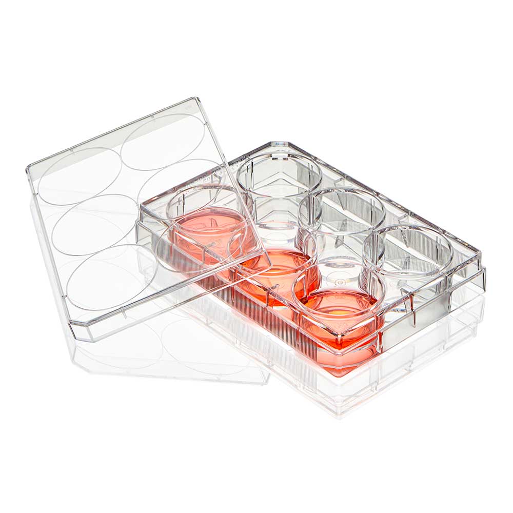 Globe Scientific TC-PLT-6 Diamond SureGro Multiple Well Plate 6 Well Flat Bottom Tissue Culture Treated Sterile Individually Wrapped