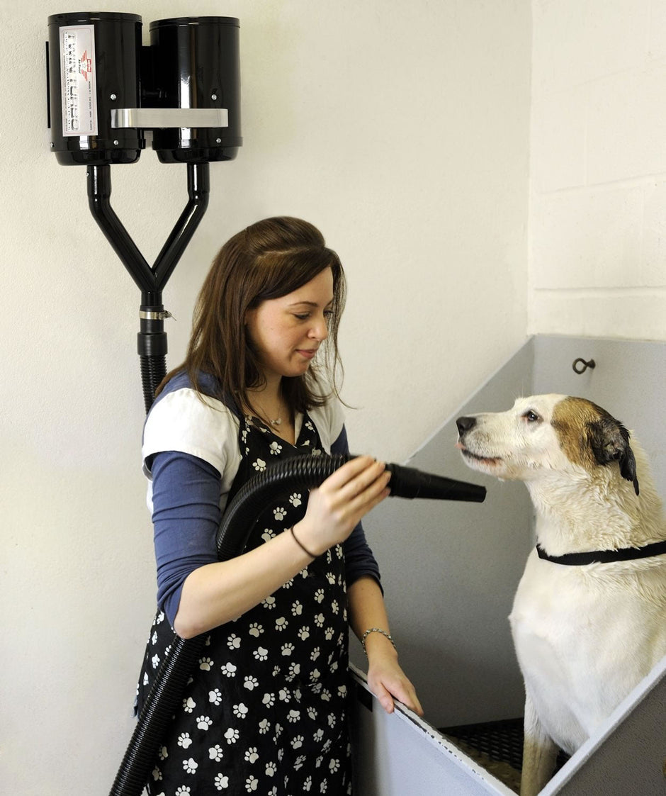 Metrovac 114-142591 Air Force Twin Turbo High Velocity Dryer