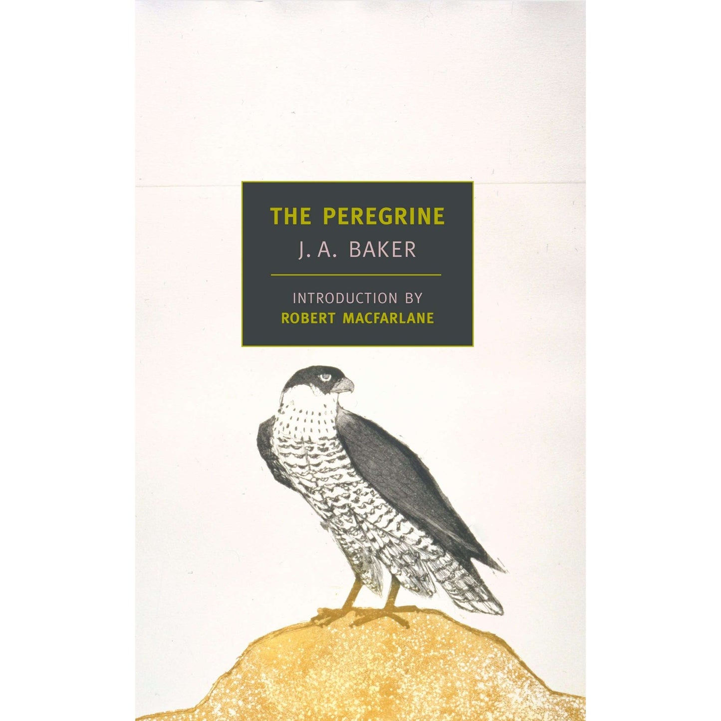 Paradise Clay RANSP40 The Peregrine - Book