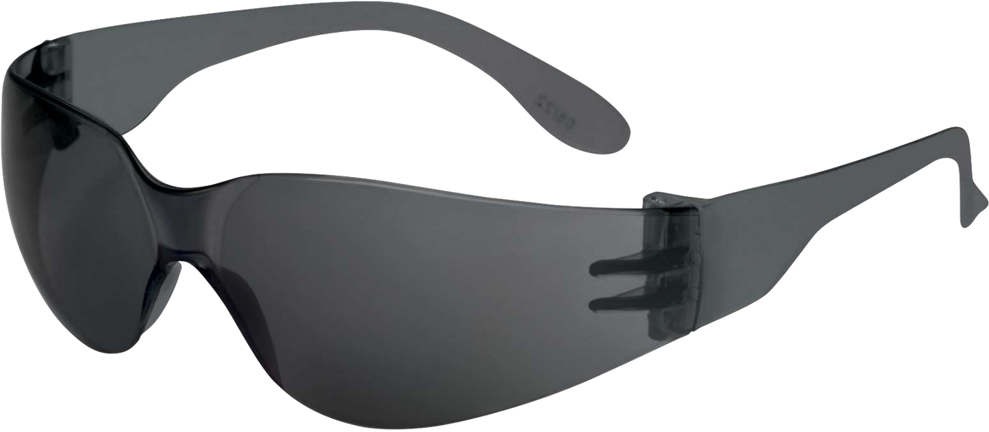 Delta Plus WELBRAVAFU20 Brava Smoke Gray AS 2.0 Glasses Readers RX
