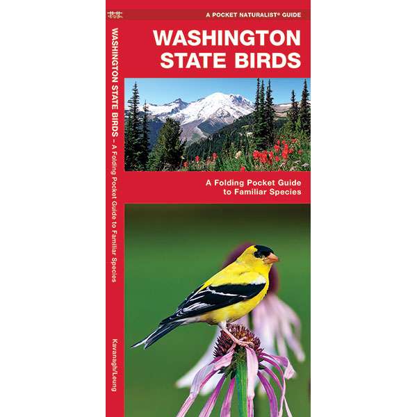Paradise Clay WFP016 Washington Birds - Folding Pocket Guide