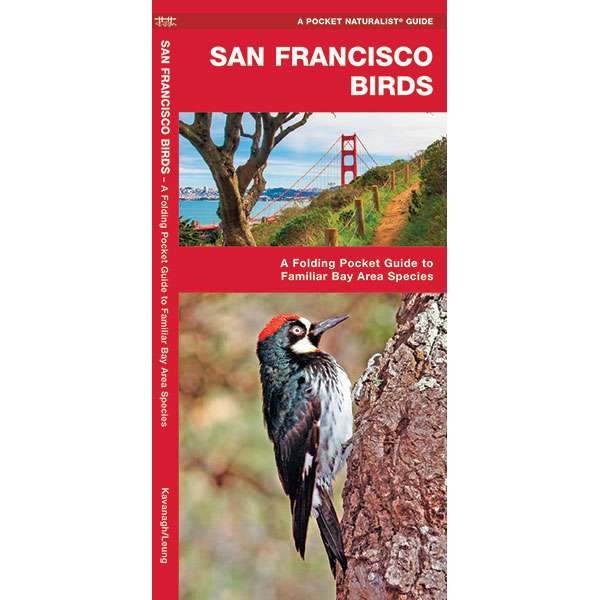 Paradise Clay WFP070 San Francisco Birds - Folding Pocket Guide