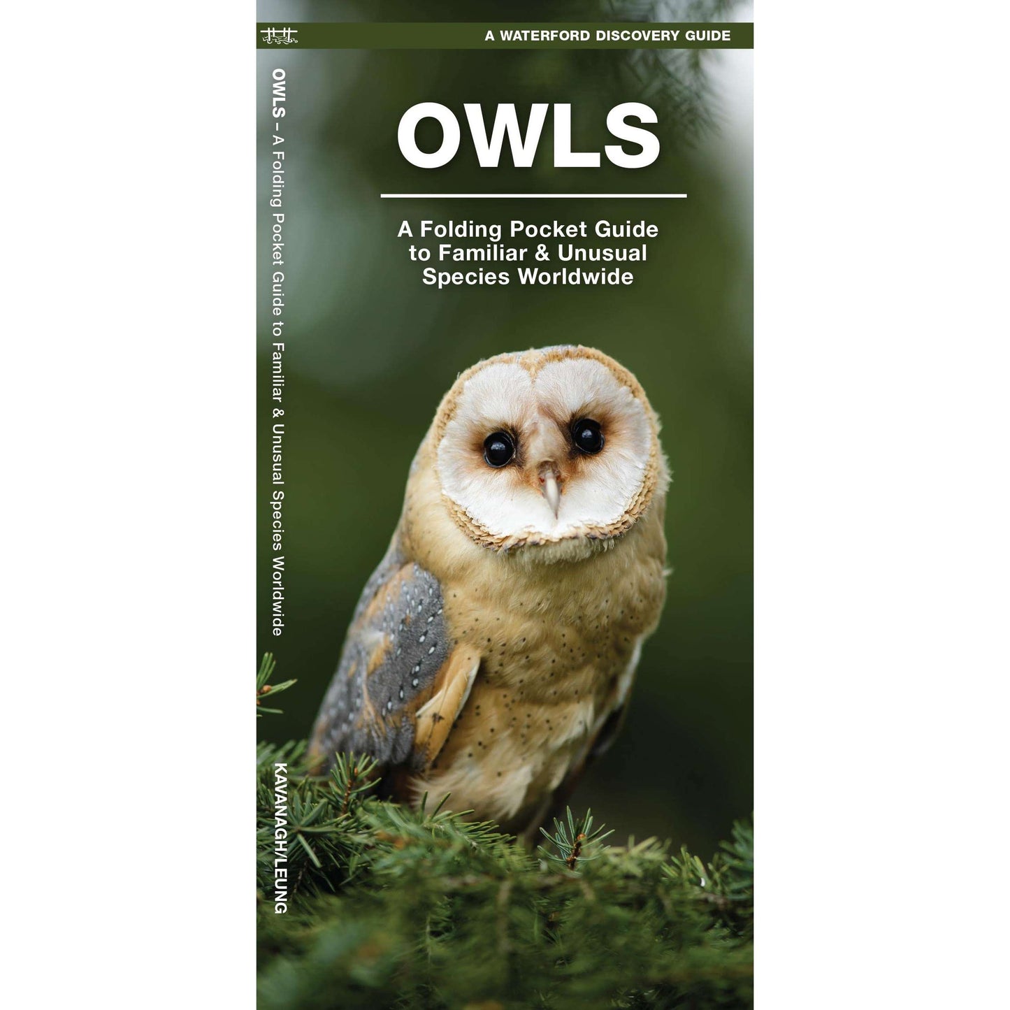 Paradise Clay WFP192 Owls: A Folding Pocket Guide to Familiar Species Worldwide - Folding Pocket Guide