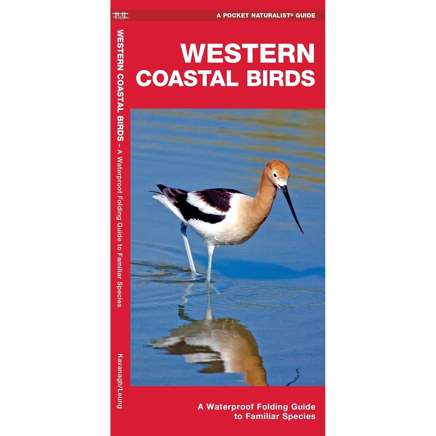 Paradise Clay WFP195 Western Coastal Birds: A Waterproof Folding Guide to Familiar Species 2nd ed. - Folding Pocket Guide