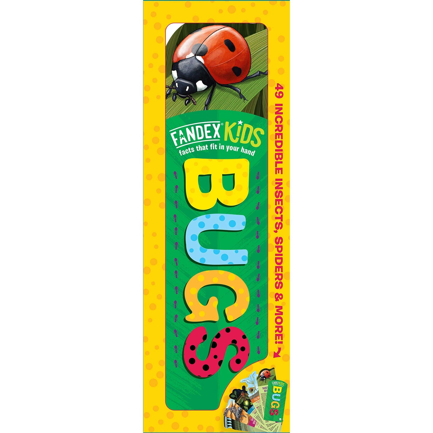 Paradise Clay WPC167 Fandex Kids: Bugs: Facts That Fit in Your Hand: 49 Incredible Insects, Spiders & More!