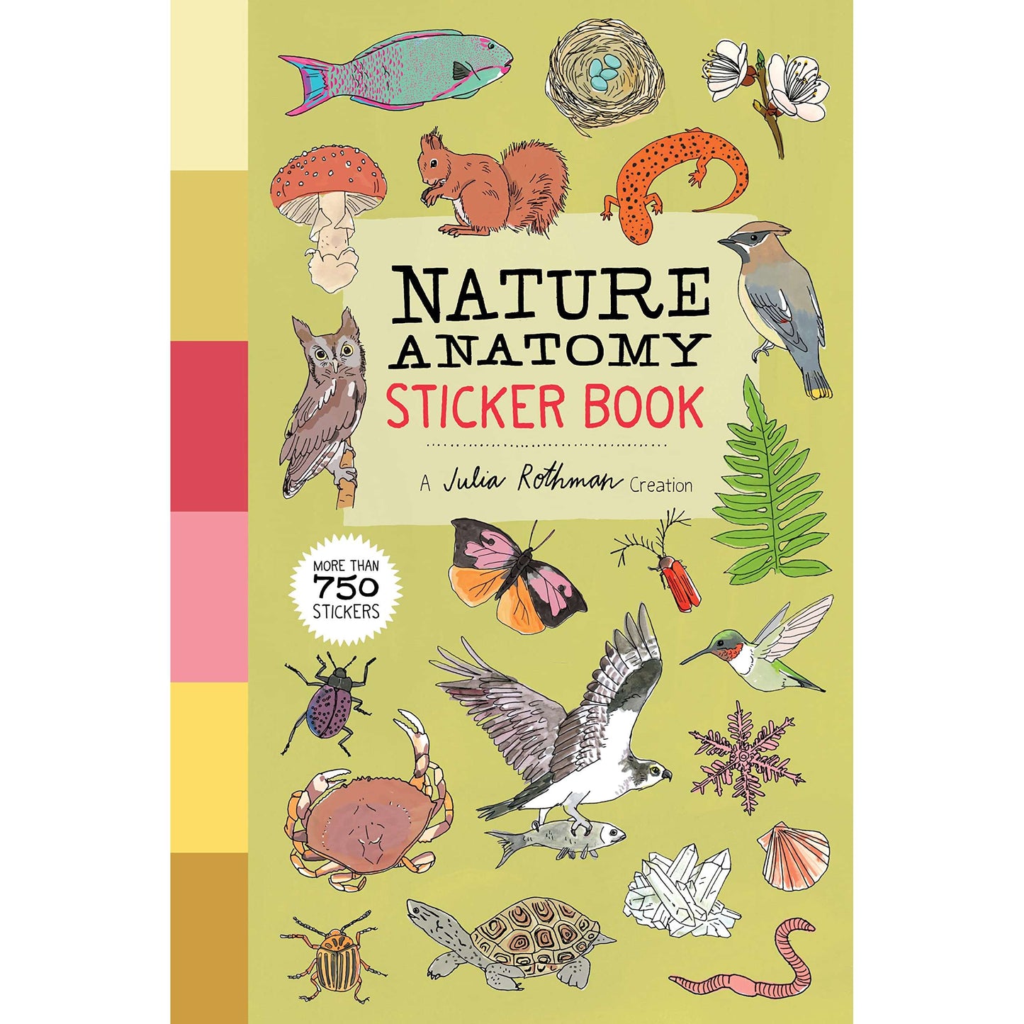 Paradise Clay WPC169 Nature Anatomy Sticker Book: A Julia Rothman Creation; More than 750 Stickers - Book