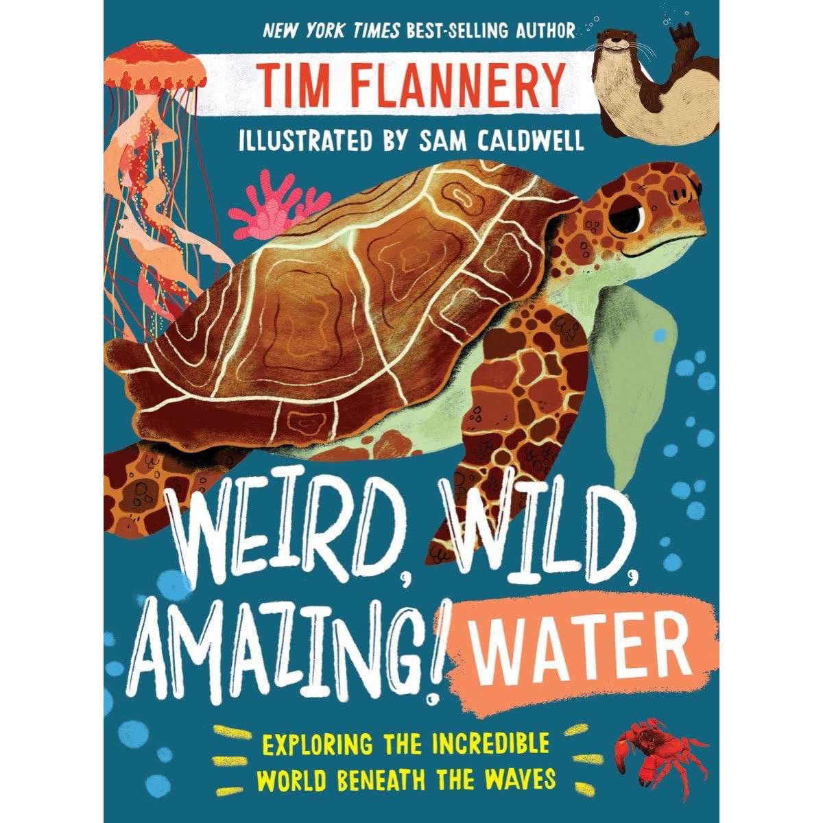 Paradise Clay WWN861 Weird, Wild, Amazing! Water - Book