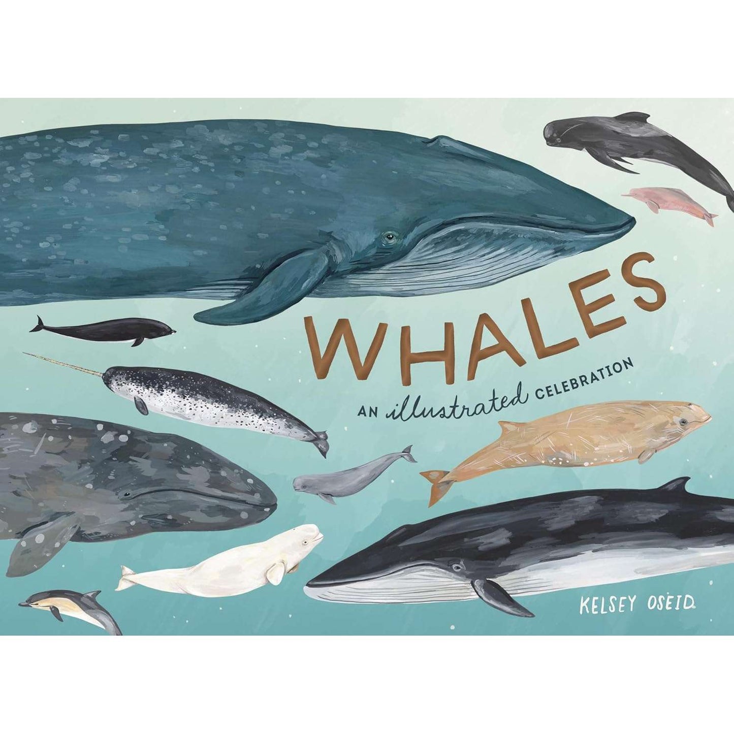 Paradise Clay PGN493 Whales: An Illustrated Celebration - Book