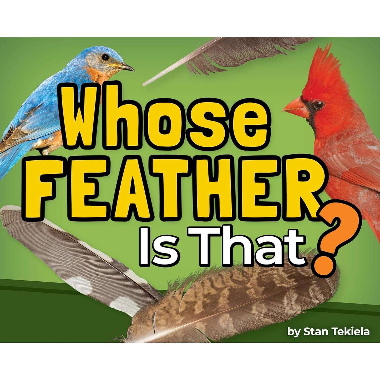 Paradise Clay AVK167 Whose Feather Is That? - Book