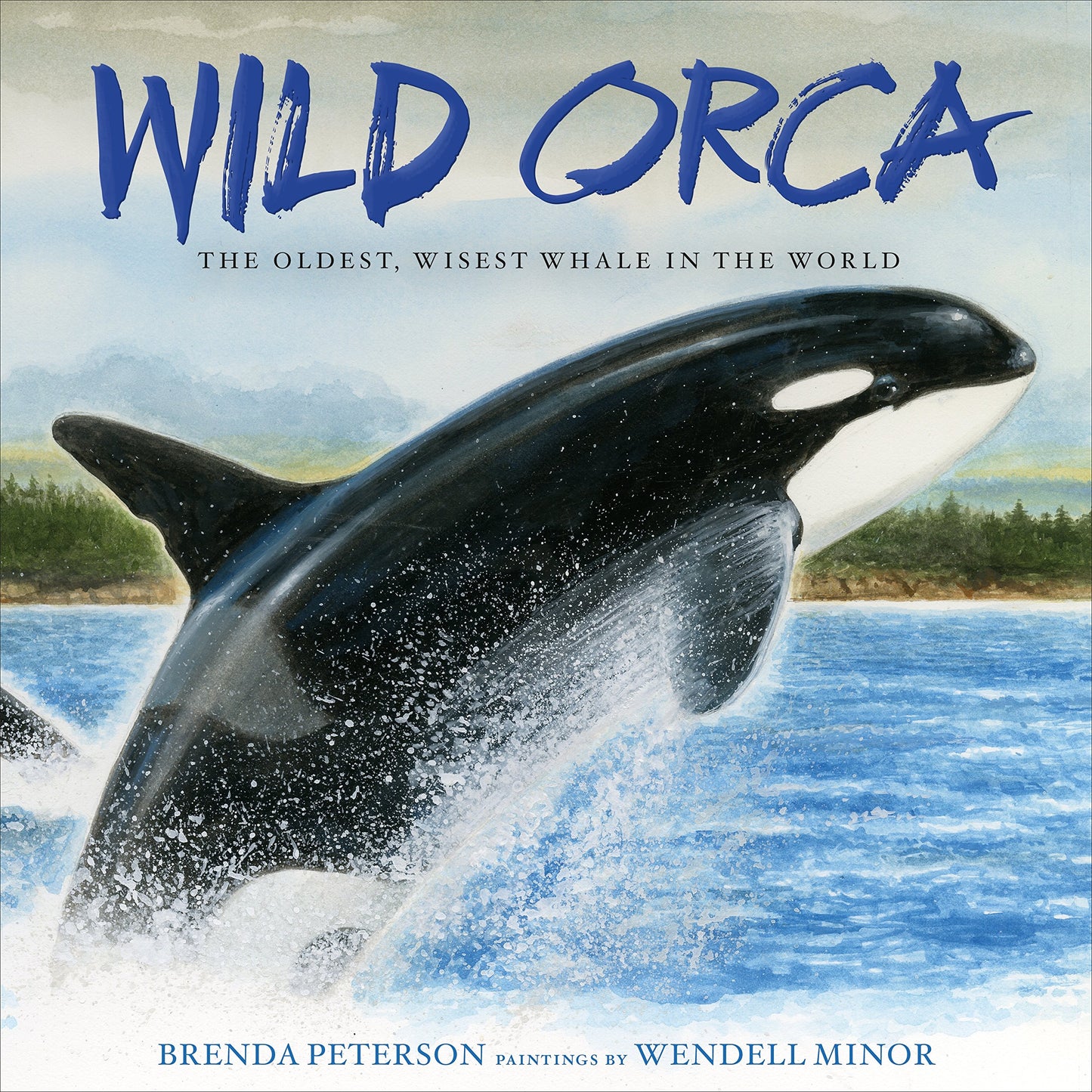 Paradise Clay MPS205 Wild Orca: The Oldest, Wisest Whale in the World - Book