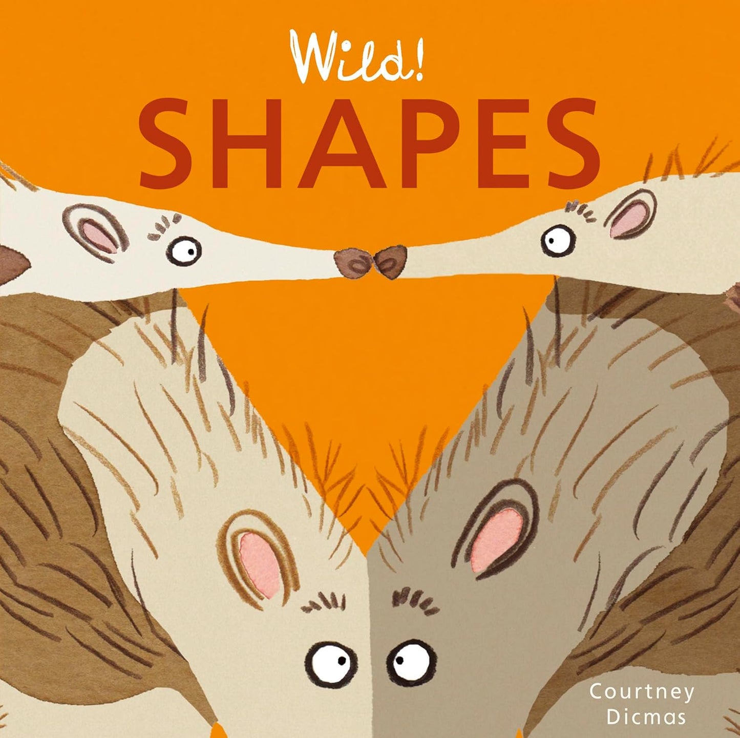 Paradise Clay CPB011 Wild! Shapes - Board Book