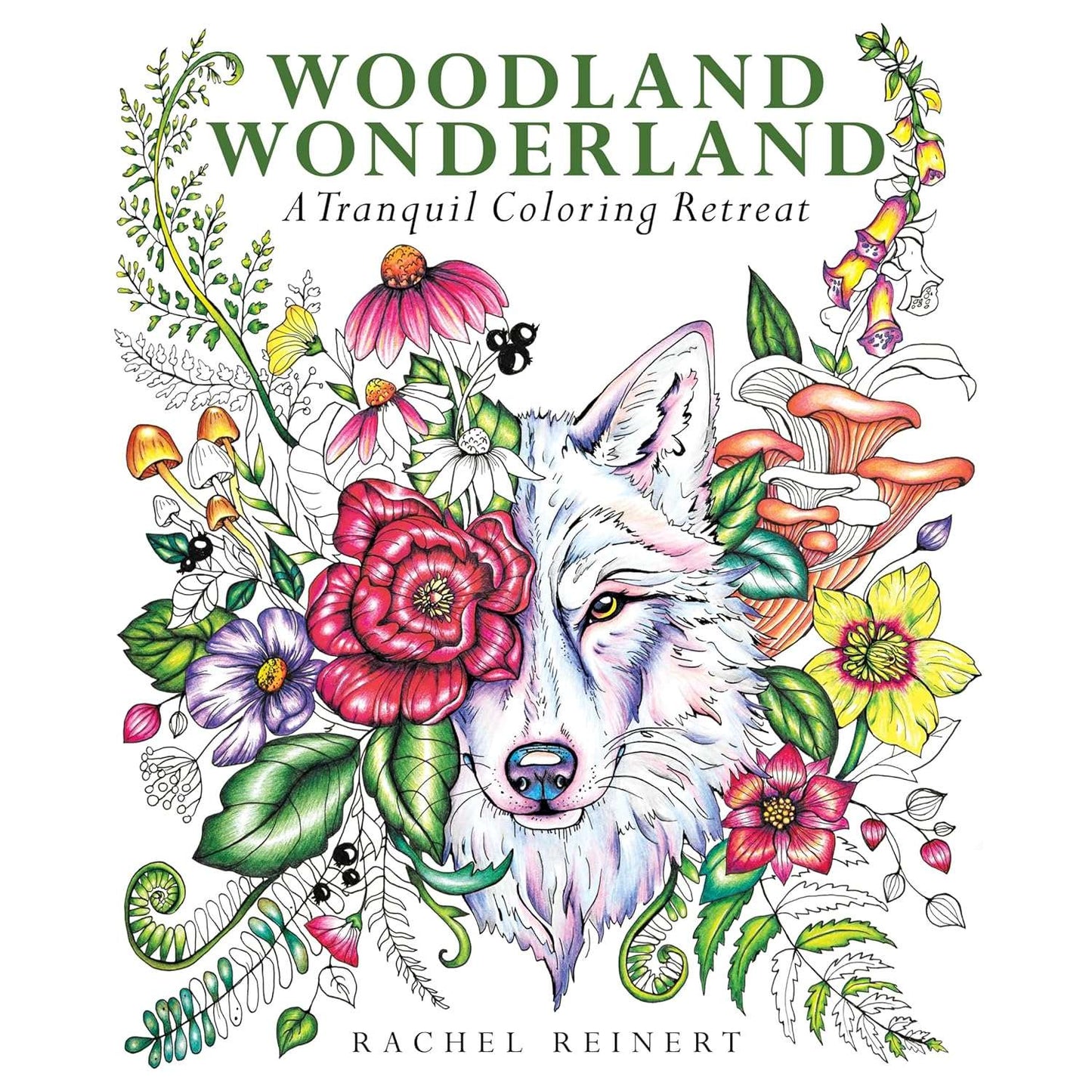 Paradise Clay PGW311 Woodland Wonderland: A Tranquil Coloring Retreat - Book
