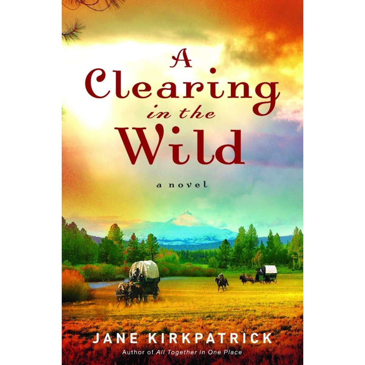 Paradise Clay RANSP46 A Clearing in the Wild - Book