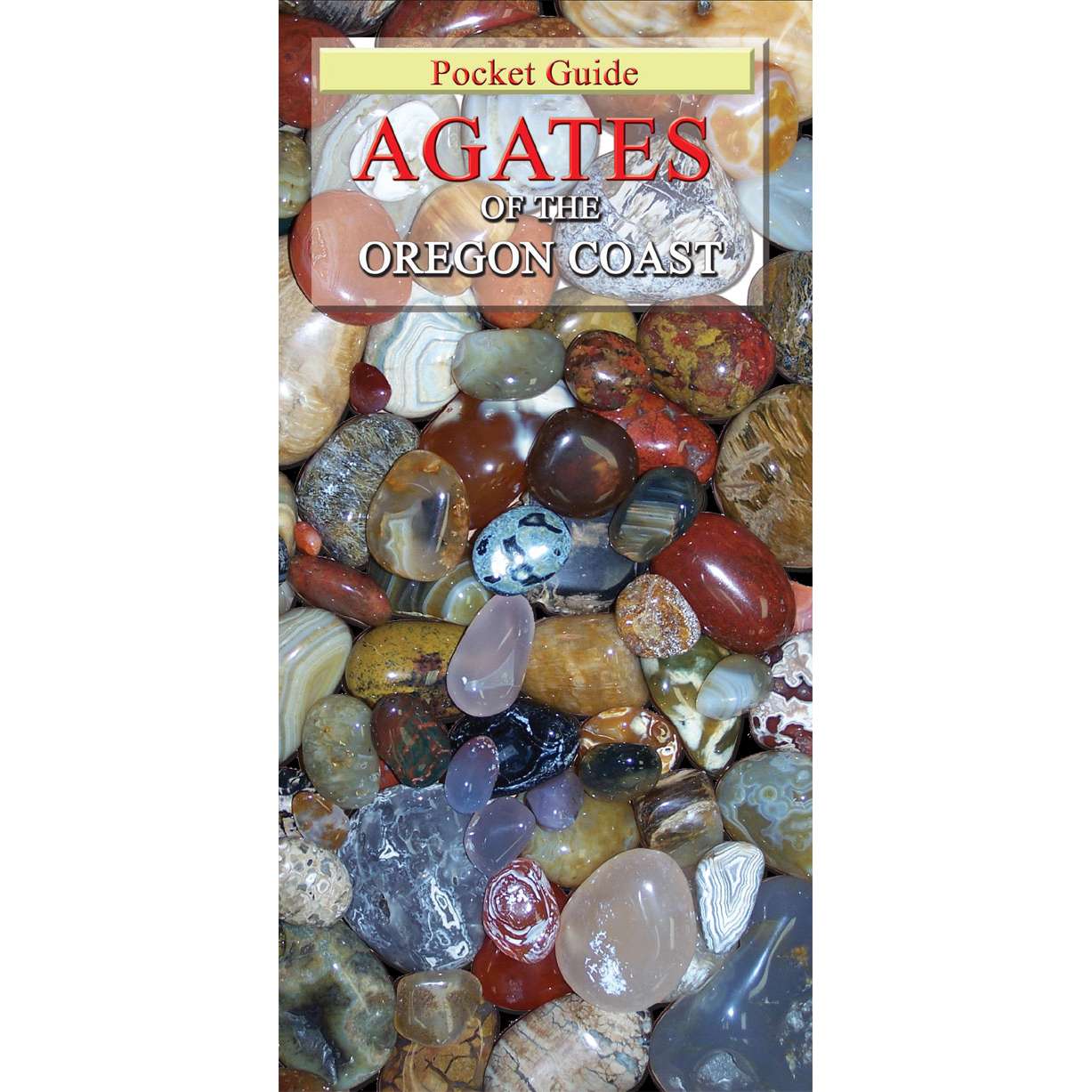 Paradise Clay FPL005 Agates of the Oregon Coast, 5th Edition - Folding Pocket Guide