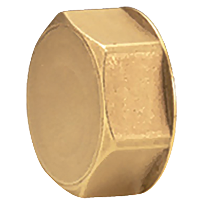 Legend Valves 800-141 1" Port Cap for M-8000, M-8100, & M8200 Brass Manifolds