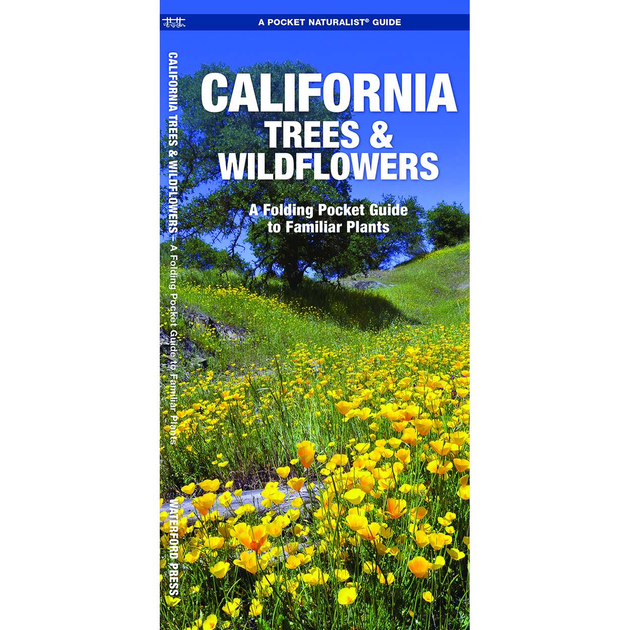 Paradise Clay WFP026 California Trees & Wildflowers - Folding Pocket Guide
