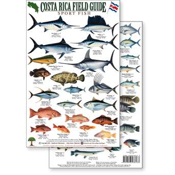 Paradise Clay RFP030 Costa Rica Sport Fish Field Guide - Laminated Card
