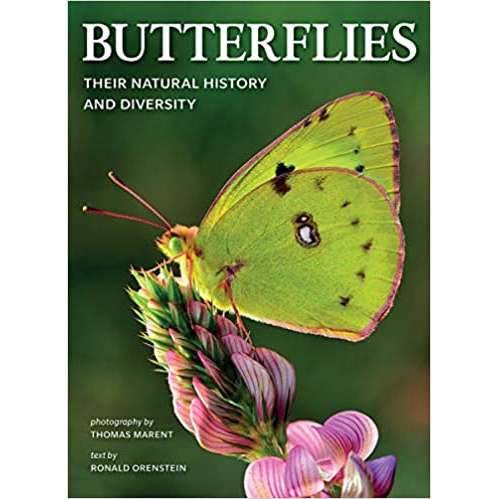 Paradise Clay FFB158 Butterflies: Their Natural History and Diversity - Book