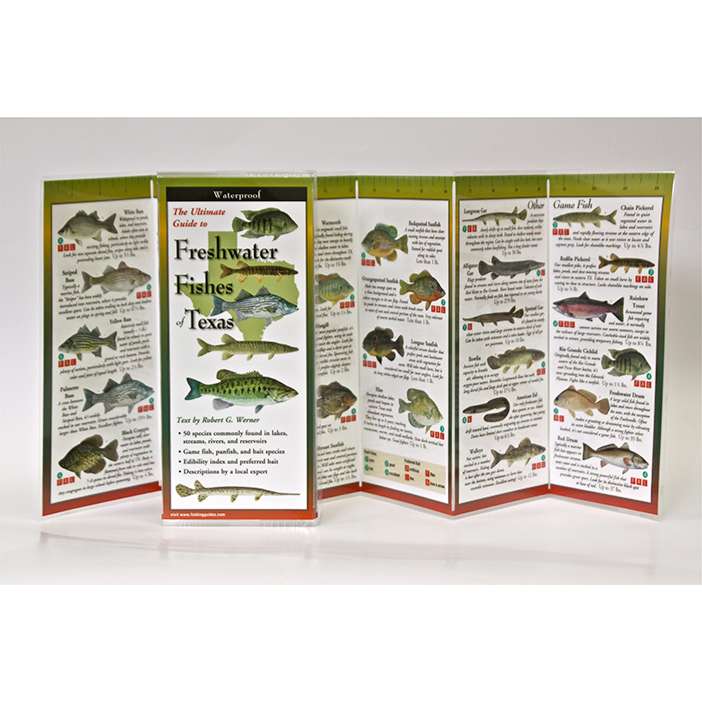 Paradise Clay FGG056 Freshwater Fishes of Texas - Folding Guide